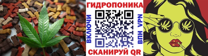 Cannafood конопля  Бородино 
