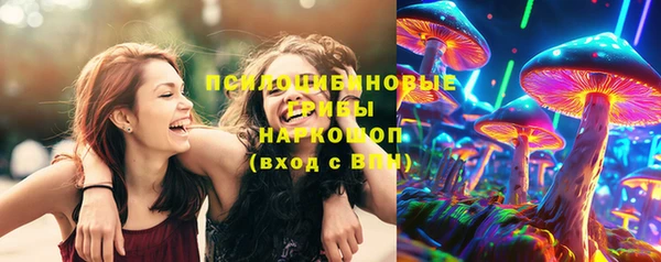 ГАЛЛЮЦИНОГЕННЫЕ ГРИБЫ Бугульма