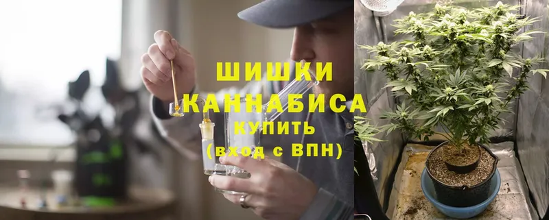 Каннабис индика  купить   Бородино 